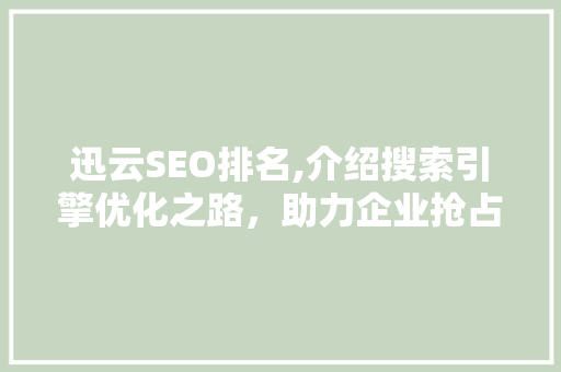 迅云SEO排名,介绍搜索引擎优化之路，助力企业抢占网络市场