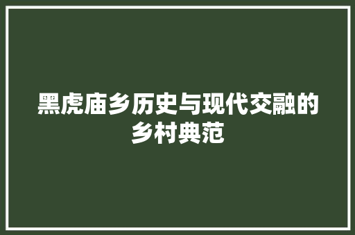 黑虎庙乡历史与现代交融的乡村典范