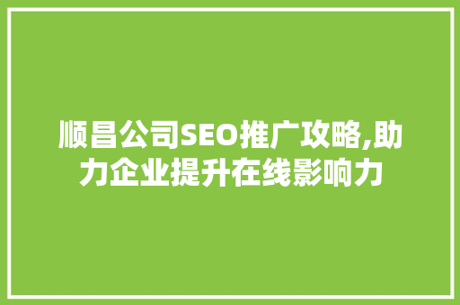 顺昌公司SEO推广攻略,助力企业提升在线影响力
