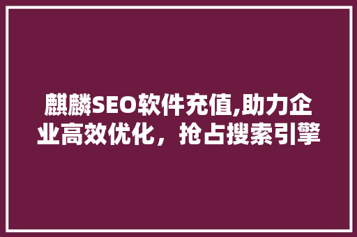 麒麟SEO软件充值,助力企业高效优化，抢占搜索引擎排名高地
