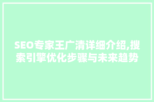 SEO专家王广清详细介绍,搜索引擎优化步骤与未来趋势