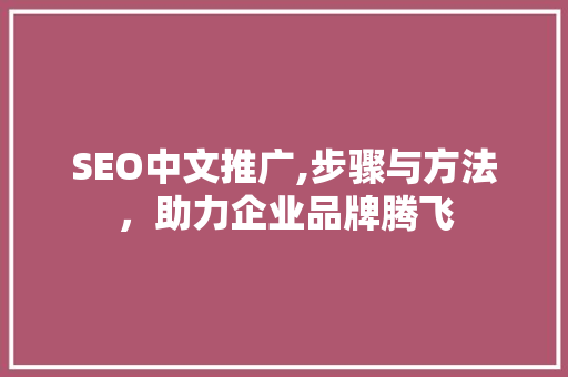 SEO中文推广,步骤与方法，助力企业品牌腾飞