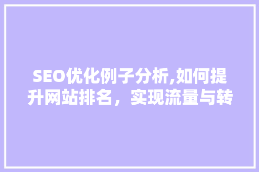 SEO优化例子分析,如何提升网站排名，实现流量与转化双丰收