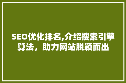 SEO优化排名,介绍搜索引擎算法，助力网站脱颖而出