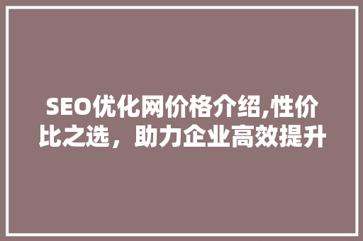 SEO优化网价格介绍,性价比之选，助力企业高效提升网站排名