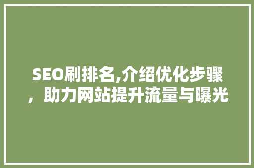 SEO刷排名,介绍优化步骤，助力网站提升流量与曝光度