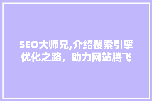 SEO大师兄,介绍搜索引擎优化之路，助力网站腾飞