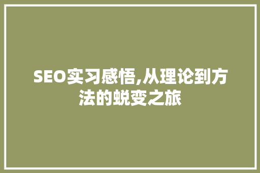 SEO实习感悟,从理论到方法的蜕变之旅