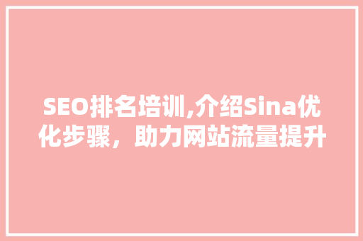 SEO排名培训,介绍Sina优化步骤，助力网站流量提升  第1张