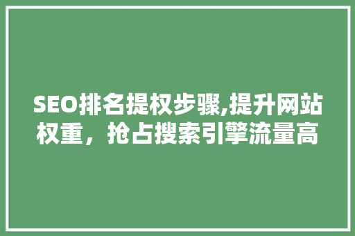 SEO排名提权步骤,提升网站权重，抢占搜索引擎流量高地