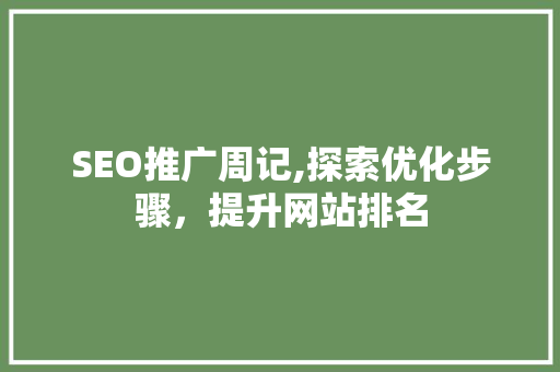 SEO推广周记,探索优化步骤，提升网站排名