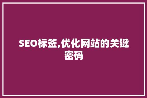 SEO标签,优化网站的关键密码