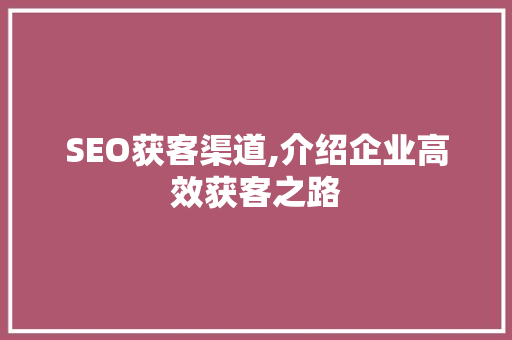 SEO获客渠道,介绍企业高效获客之路