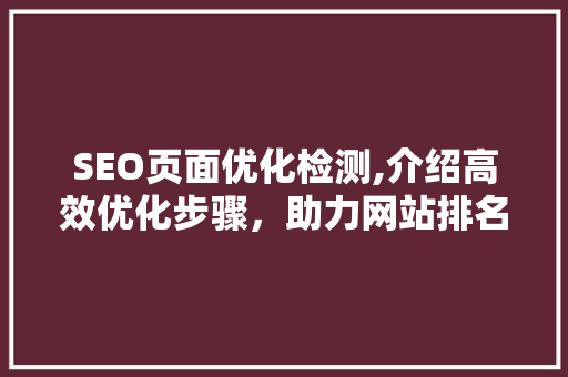 SEO页面优化检测,介绍高效优化步骤，助力网站排名提升
