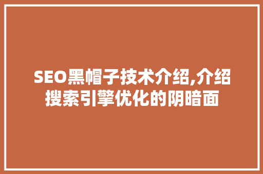 SEO黑帽子技术介绍,介绍搜索引擎优化的阴暗面