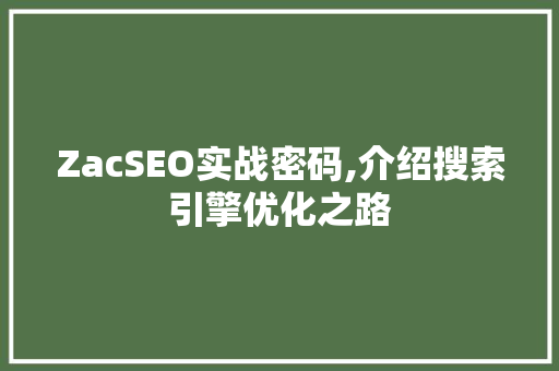 ZacSEO实战密码,介绍搜索引擎优化之路