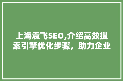 上海袁飞SEO,介绍高效搜索引擎优化步骤，助力企业腾飞
