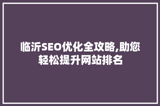 临沂SEO优化全攻略,助您轻松提升网站排名