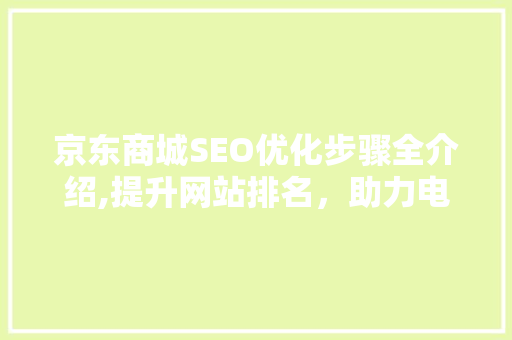 京东商城SEO优化步骤全介绍,提升网站排名，助力电商发展