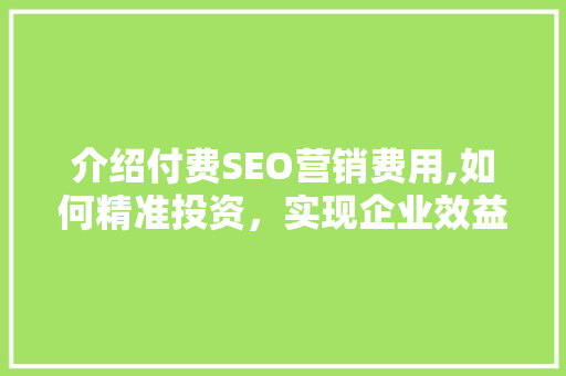 介绍付费SEO营销费用,如何精准投资，实现企业效益最大化