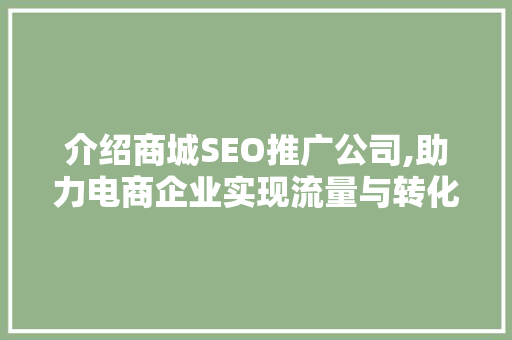 介绍商城SEO推广公司,助力电商企业实现流量与转化双丰收