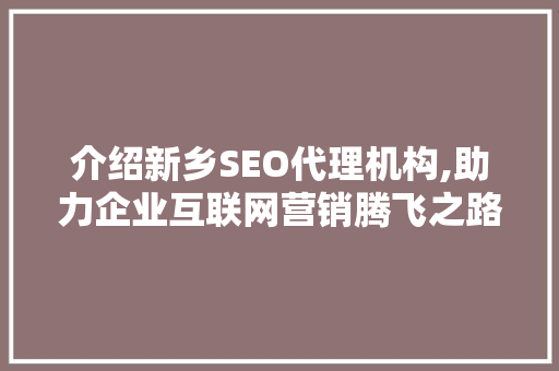 介绍新乡SEO代理机构,助力企业互联网营销腾飞之路
