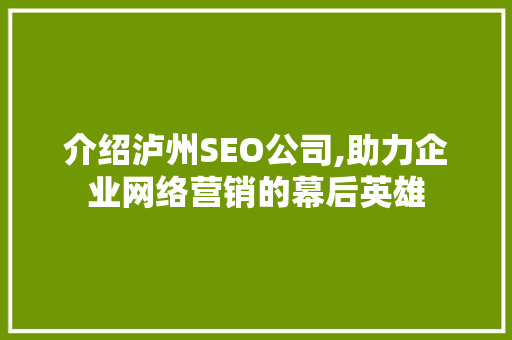 介绍泸州SEO公司,助力企业网络营销的幕后英雄