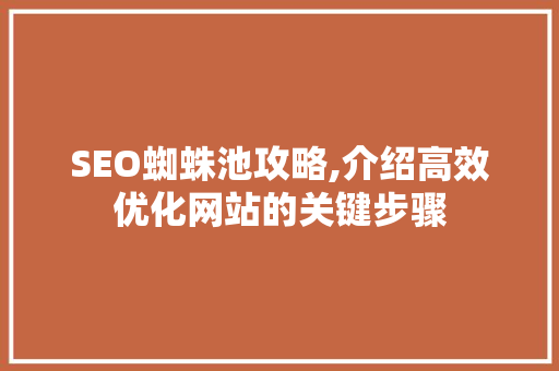 SEO蜘蛛池攻略,介绍高效优化网站的关键步骤