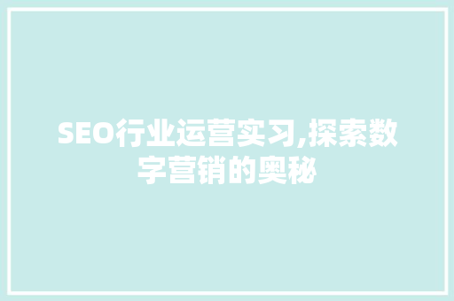 SEO行业运营实习,探索数字营销的奥秘