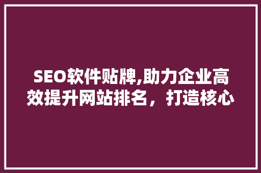 SEO软件贴牌,助力企业高效提升网站排名，打造核心竞争力