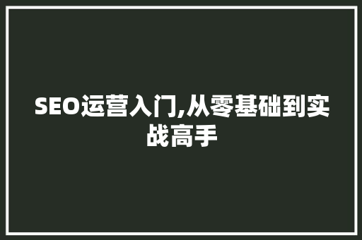 SEO运营入门,从零基础到实战高手