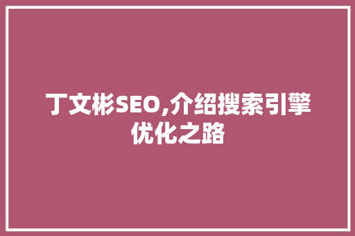 丁文彬SEO,介绍搜索引擎优化之路  第1张
