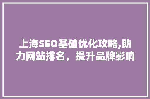 上海SEO基础优化攻略,助力网站排名，提升品牌影响力