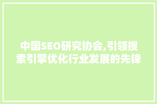 中国SEO研究协会,引领搜索引擎优化行业发展的先锋力量