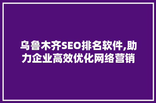 乌鲁木齐SEO排名软件,助力企业高效优化网络营销