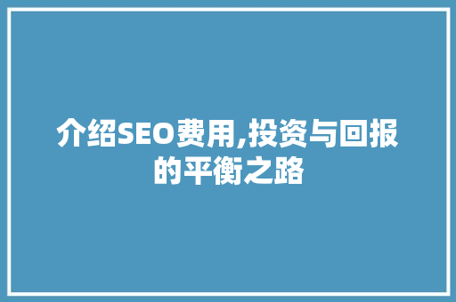 介绍SEO费用,投资与回报的平衡之路