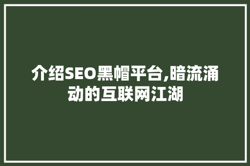 介绍SEO黑帽平台,暗流涌动的互联网江湖  第1张