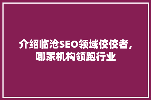 介绍临沧SEO领域佼佼者,哪家机构领跑行业