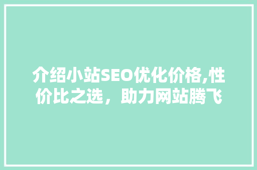 介绍小站SEO优化价格,性价比之选，助力网站腾飞