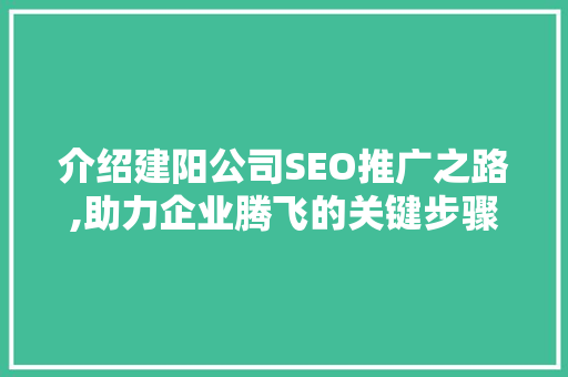 介绍建阳公司SEO推广之路,助力企业腾飞的关键步骤