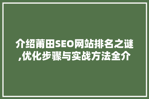 介绍莆田SEO网站排名之谜,优化步骤与实战方法全介绍