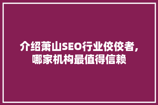 介绍萧山SEO行业佼佼者,哪家机构最值得信赖