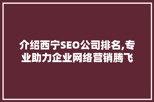 介绍西宁SEO公司排名,专业助力企业网络营销腾飞