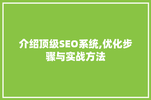 介绍顶级SEO系统,优化步骤与实战方法