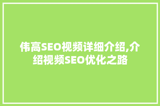 伟高SEO视频详细介绍,介绍视频SEO优化之路