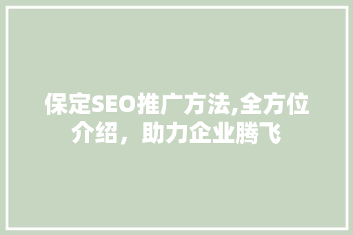 保定SEO推广方法,全方位介绍，助力企业腾飞