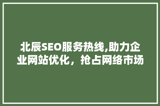 北辰SEO服务热线,助力企业网站优化，抢占网络市场先机