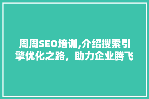 周周SEO培训,介绍搜索引擎优化之路，助力企业腾飞