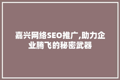 嘉兴网络SEO推广,助力企业腾飞的秘密武器