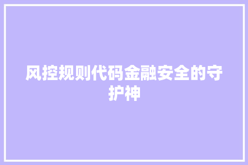 风控规则代码金融安全的守护神